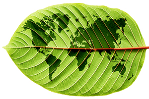 dexter MT - duurzaamheid - groen blad+wereldkaart